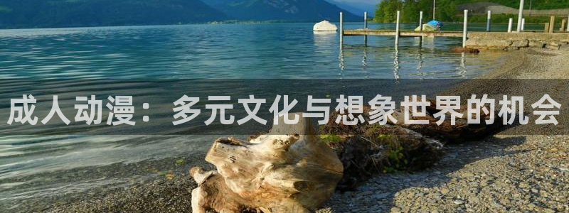 第一动漫岛：成人动漫：多元文化与想象世界的机会