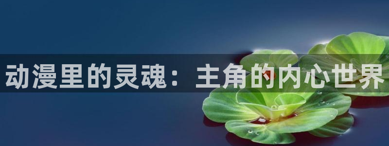 动漫岛动
