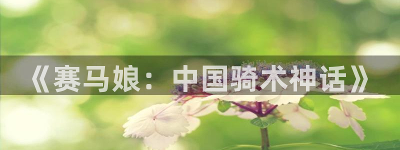 动漫岛18禁