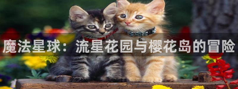 动漫岛攻略：魔法星球：流星花园与樱花岛的冒险