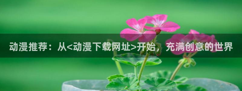 动漫岛网站官网：动漫推荐：从<动漫下载网址>开始，充满创意的世界
